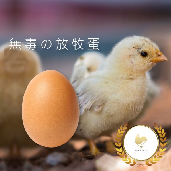 【好愛雞】放牧-紅殼無毒鮮雞蛋