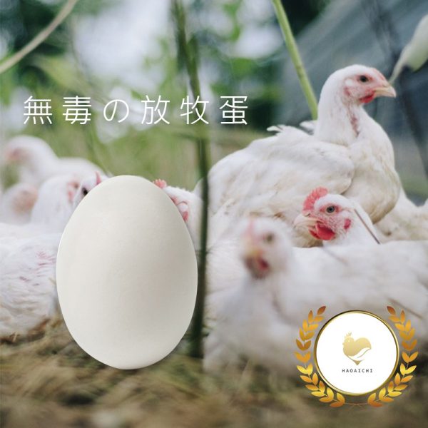 【好愛雞】放牧-白殼無毒鮮雞蛋